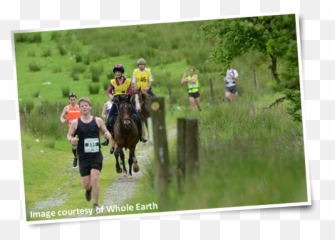 Man V Horse 14th June 2014 Png Running
