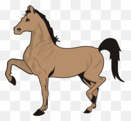 Running Horse Clip Art Black And White - Horse Pics Cartoon Horse Drawing With Colour Png,White Horse Png