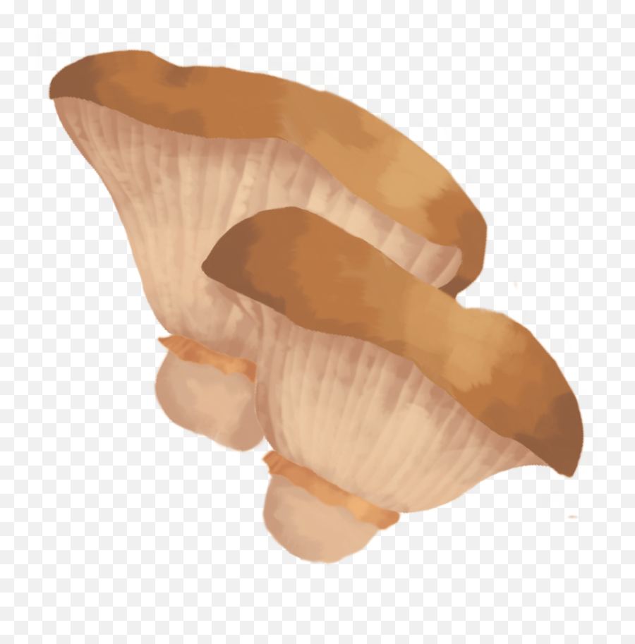 Artsy Gwimmie Gwimmiedwaws Twitter - Medicinal Mushroom Png,Super Smash Bros 4 Mushroom Icon