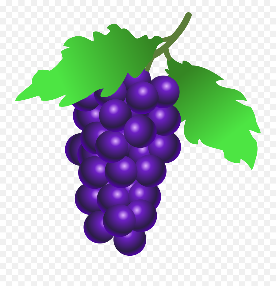 Grapes Cartoon Png 2 Image - Grapes Clipart,Grapes Png