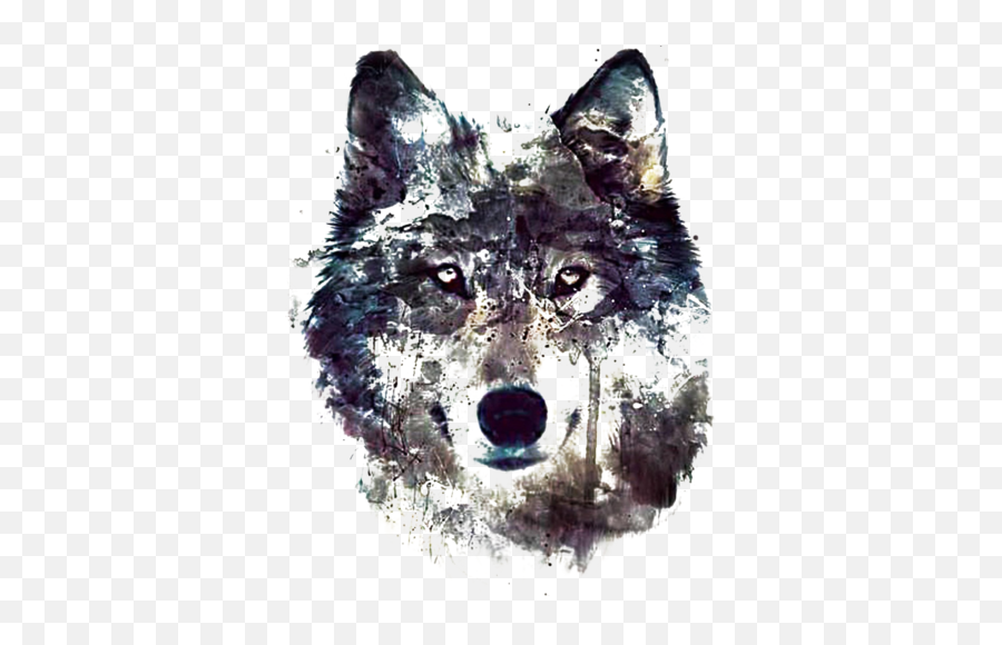 Awesome Wolf Png U0026 Free Wolfpng Transparent Images - Lone Wolf Abstract Art,Howling Wolf Png